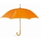 Regenschirm mit Holzgriff