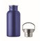 Einwandige Trinkflasche 500 ml