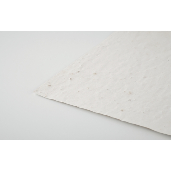 DIN A4 Wildblumen-Samenpapier