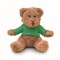 Teddybär mit Hoody