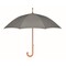 Regenschirm