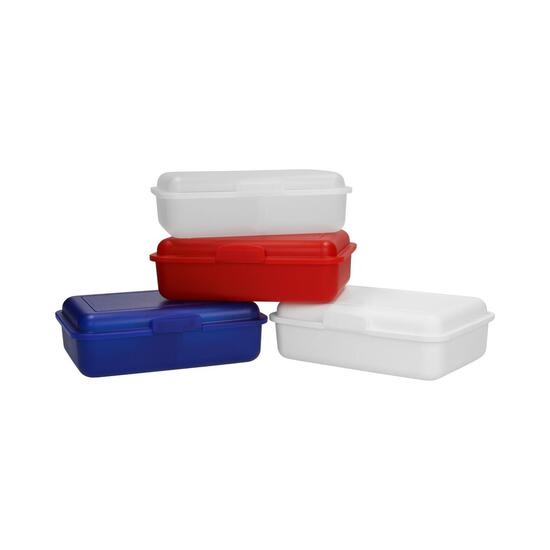 Vorratsdose "School-Box" mittel mit Trennwand