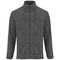 Artic Fleecejacke für Herren