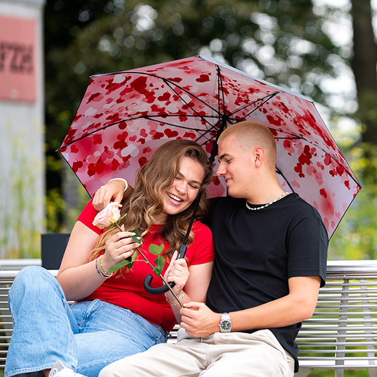 AC-Stockschirm FARE® Impressions