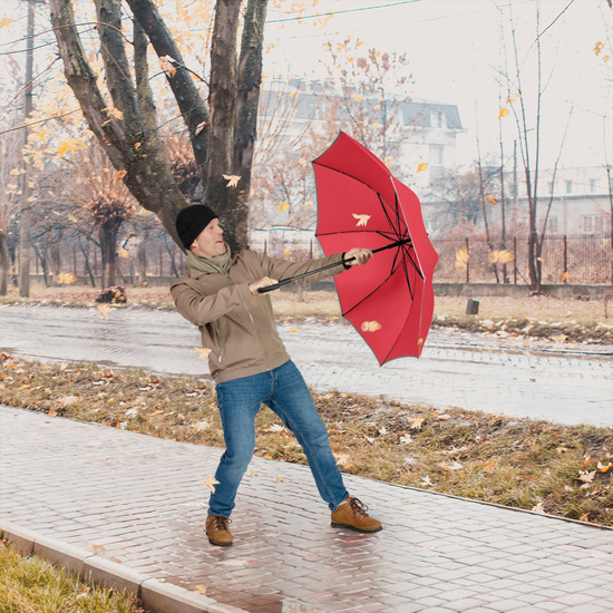 AC-Midsize-Stockschirm FARE® Windmatic®