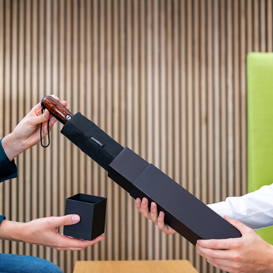 AOC-Oversize-Taschenschirm Stormmaster