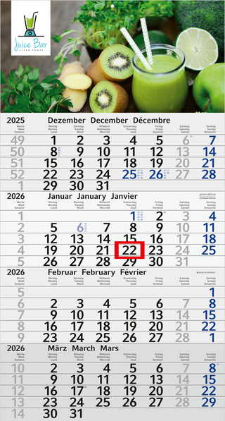 4-Monatskalender Budget 4 Recycling, blau (Einblatt)
