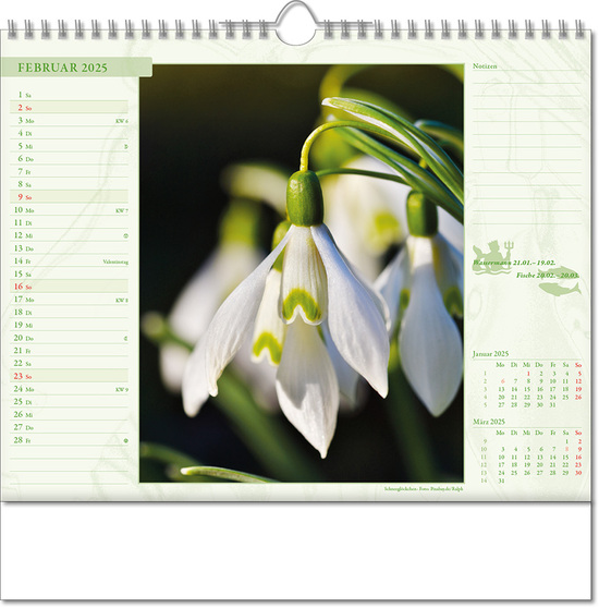 Kalender "Blütenwelt" im Format 30 x 29 cm, mit Wire-O-Bindung und verlängerter Rückwand