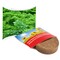 Plant-Tab mit Samen - Petersilie