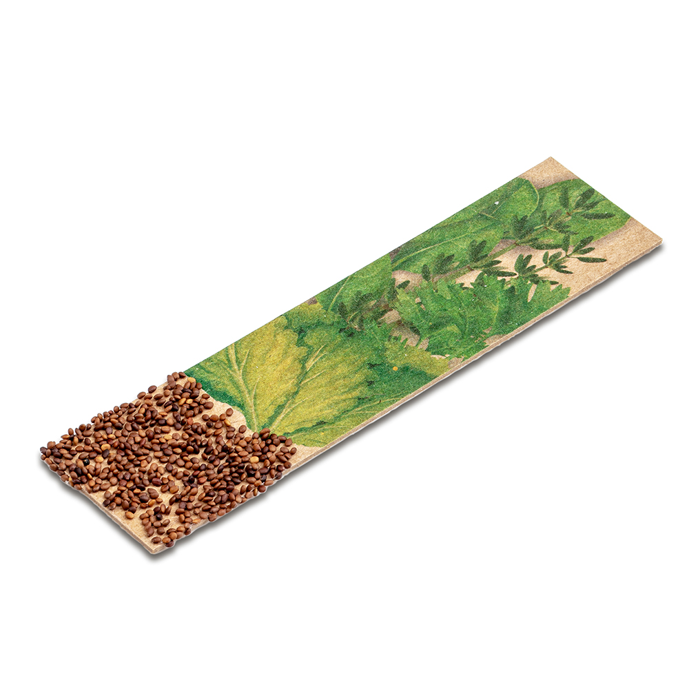 Kräuter-Stick mit Samen - Thymian