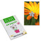 Samen-Karte-Mini Blume - Ringelblume