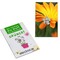 Samen-Karte-Mini Blume - Ringelblume