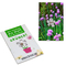 Samen-Karte-Mini Blume - Schnittlauch