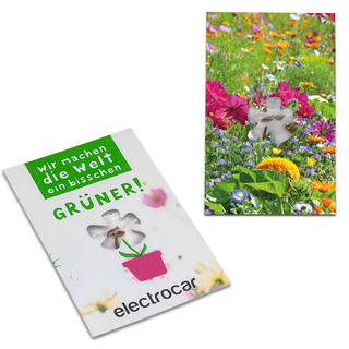 Samen-Karte-Mini Blume - Sommerblumenmischung
