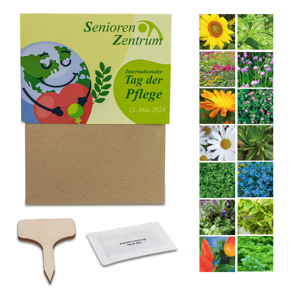 Pflanz-Set - 3er-Set - Gewürzpaprika / Thymian / Basilikum