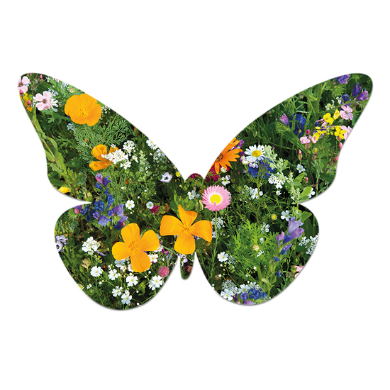 Samenpapier auf A6-Karte - Schmetterling