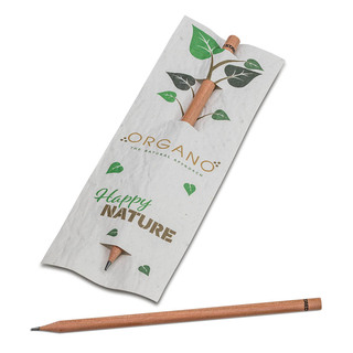 Bleistift im Samenpapieretui - Karotte, Druck 4/0c, Lasergravur