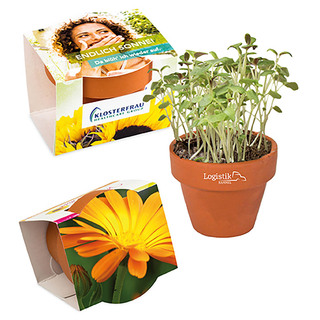 Logo-Töpfchen Komplettbanderole mit Samen - Ringelblume