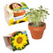 Logo-Töpfchen Komplettbanderole mit Samen - Sonnenblume
