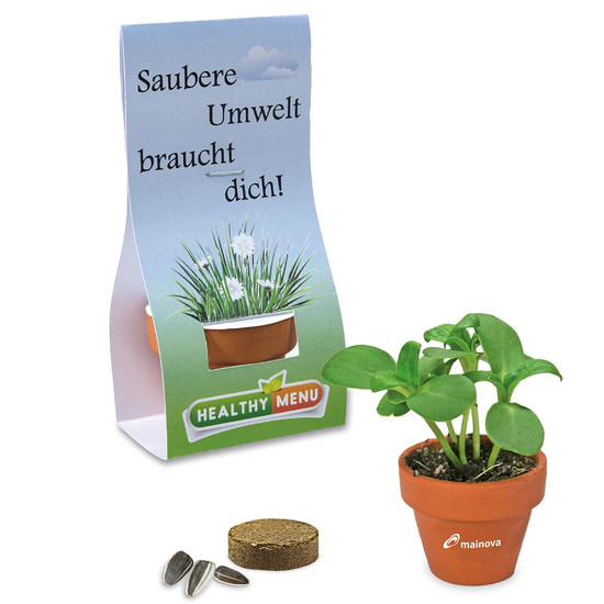 Logo-Töpfchen Überreichverpackung mit Samen - Ringelblume