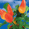 Tontöpfchen-Blume mit Samen - Gewürzpaprika