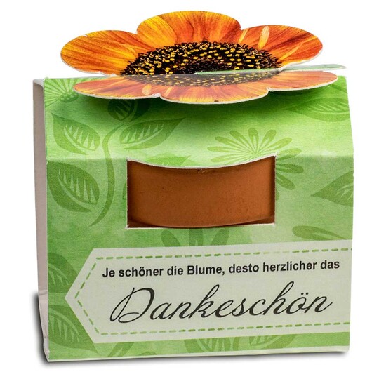 Tontöpfchen-Blume mit Samen - Vergissmeinnicht
