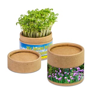 Pflanz-Cup mit Samen - Schnittlauch