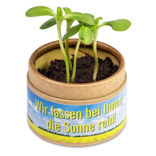 Pflanz-Cup mit Samen - Schnittlauch