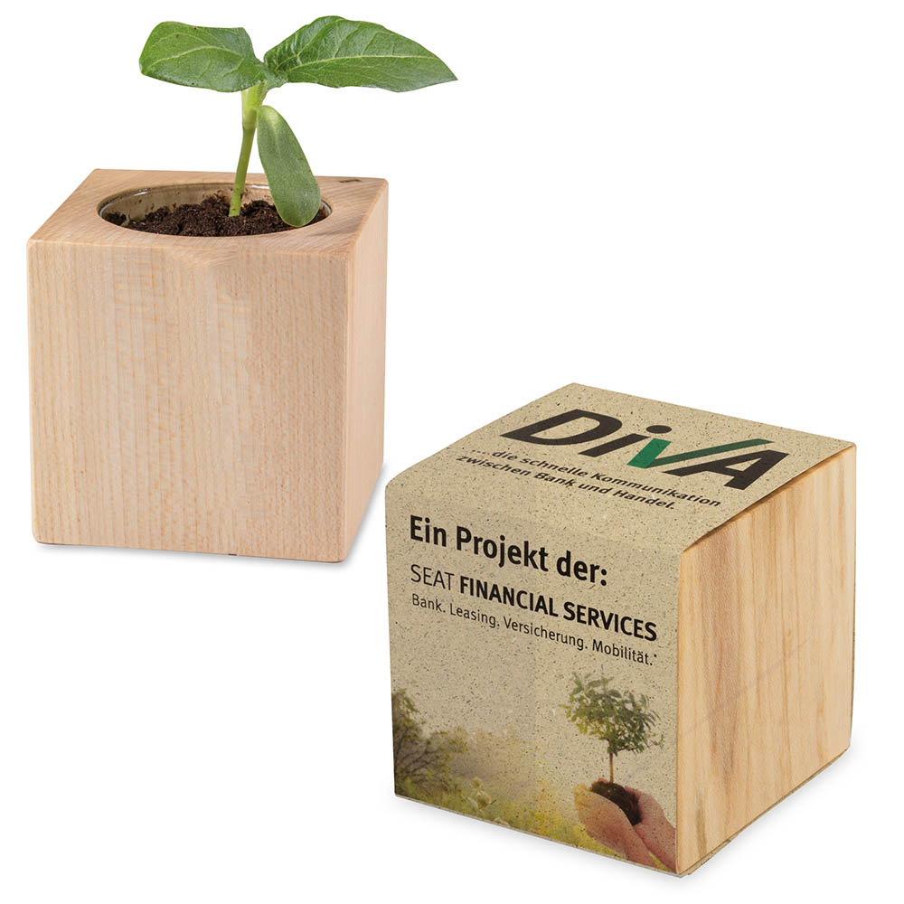 Pflanz-Holz mit Samen (Graspapier-Banderole) - Kräutermischung