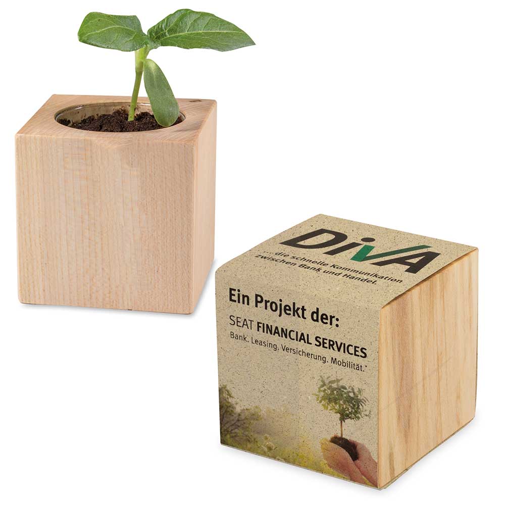 Pflanz-Holz mit Samen (Graspapier-Banderole) - Sonnenblume