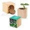 Pflanz-Holz Maxi mit Samen - Schnittlauch