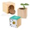 Pflanz-Holz Maxi mit Samen - Margerite, 2 Seiten gelasert
