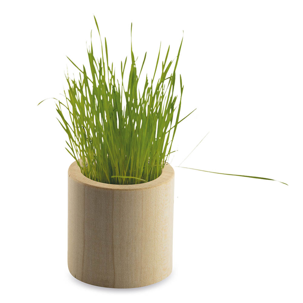 Pflanz-Holz rund mit Samen - Sonnenblume