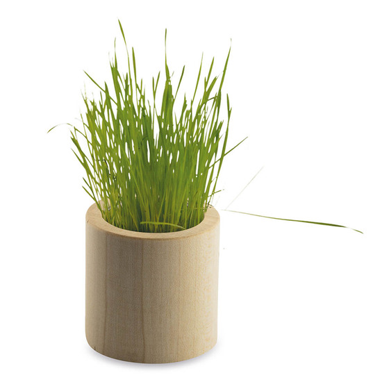 Pflanz-Holz rund mit Samen - Sonnenblume