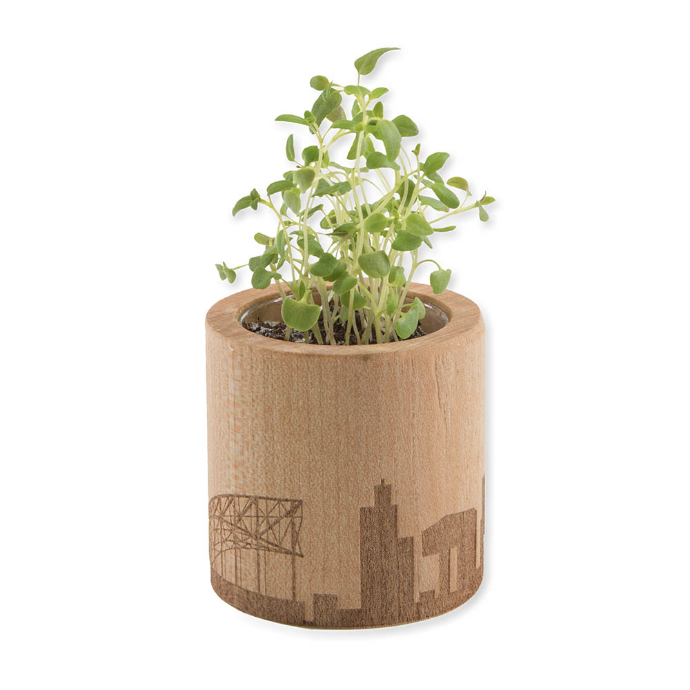 Pflanz-Holz rund mit Samen - Gartenkresse, Rundum-Lasergravur