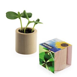 Pflanz-Holz rund mit Samen - Glücksklee-Zwiebel, Rundum-Lasergravur (* Je nach Verfügbarkeit der Glücksklee-Zwiebeln)