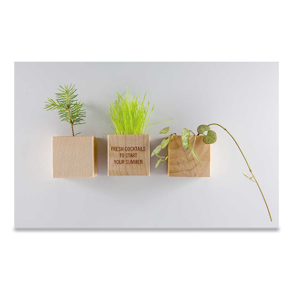 Pflanz-Holz Magnet mit Samen - Schnittlauch