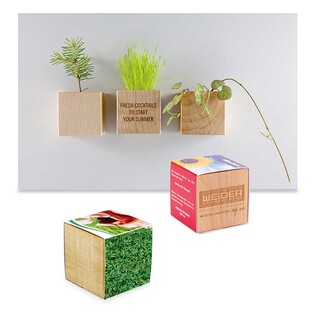Pflanz-Holz Magnet mit Samen - Gartenkresse, 1 Seite gelasert