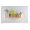 Pflanz-Holz Magnet mit Samen - Sommerblumenmischung, 1 Seite gelasert