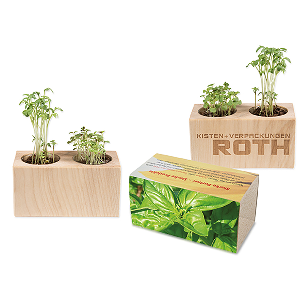 Pflanz-Holz 2er Set mit Samen - Basilikum