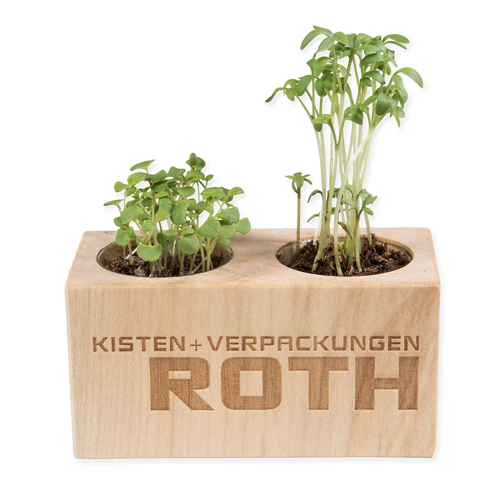 Pflanz-Holz 2er Set mit Samen - Ringelblume, 1 Seite gelasert