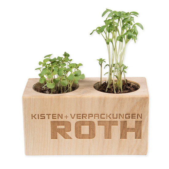 Pflanz-Holz 2er Set mit Samen - Ringelblume, 1 Seite gelasert
