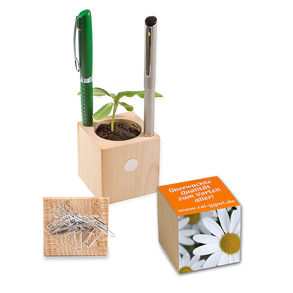 Pflanz-Holz Büro mit Samen - Margerite