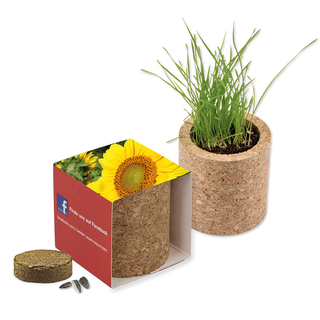 Pflanz-Kork rund mit Samen - Sonnenblume