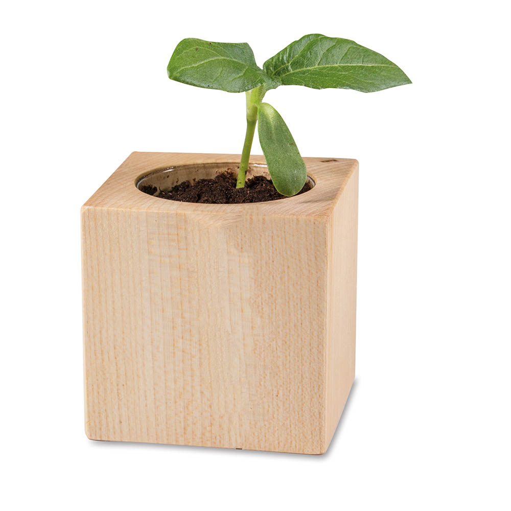 Pflanz-Holz - Standardmotiv - Sonnenblume - ohne Lasergravur