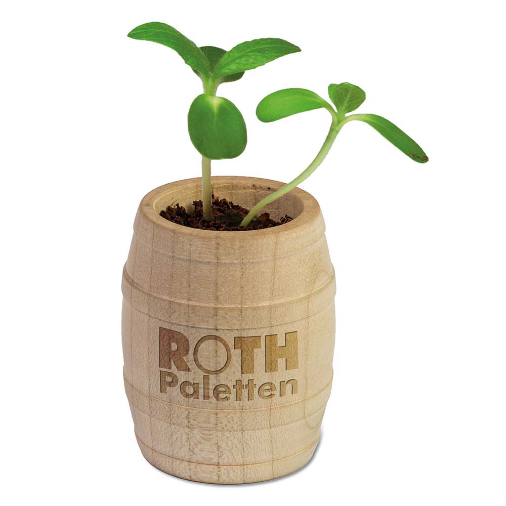 Pflanz-Fässchen mit Samen - Schnittlauch, Lasergravur