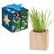 Pflanz-Holz Maxi Star-Box mit Samen - Schnittlauch, 1 Seite gelasert