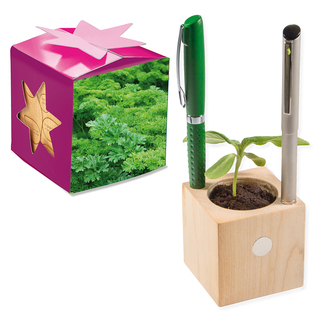 Pflanz-Holz Büro Star-Box mit Samen - Petersilie