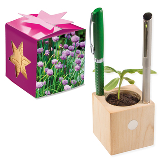 Pflanz-Holz Büro Star-Box mit Samen - Schnittlauch