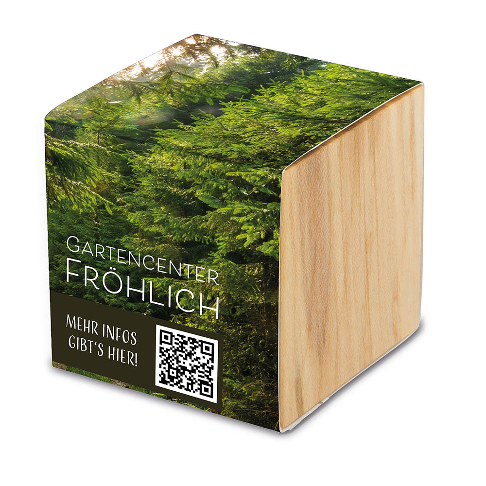 Pflanz-Holz Grande mit Samen - Margerite
